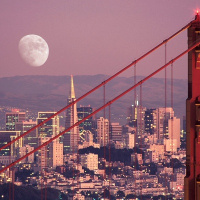 Денис Доложевский