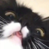 Анна Лемешко