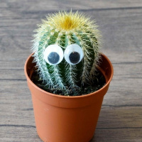 Василий Дядищев