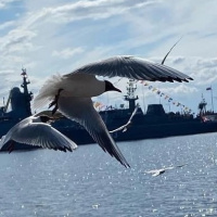 Леонид Снигирев