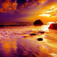 Софья Гончарова