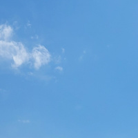 Ирина Потапчук