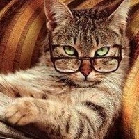 Владимир Калюжный