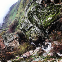 Лазарь Есенков