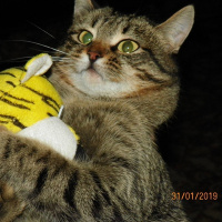 Артур Мастерская