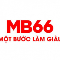 mb66beer