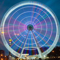 Марьян Олиярник