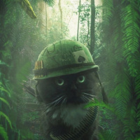 Руслан Травкин