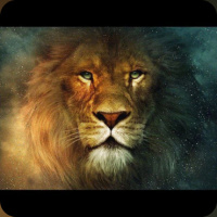 Оксана Шевелева