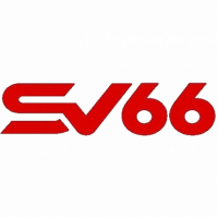 sv66voto