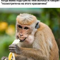 оно_украло_ аккаунт