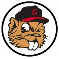 Денис Бригадиров