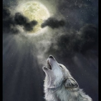 Дима Орлеан