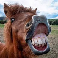 Ржало над пропастью