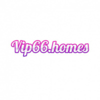 vip66homes