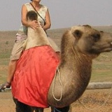 Софья Карбышева