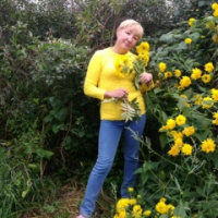 Анна Гольцова