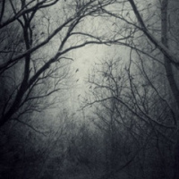 Денис Коврижных