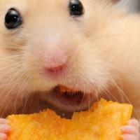 Ольга Таганова