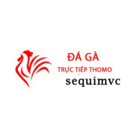 Đá Gà Trực Tiếp Thomo Hôm Nay