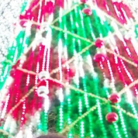 Катерина Токарева