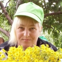 Елена Барышкова