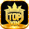 TOPVIN