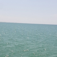 Ксения Хахалина