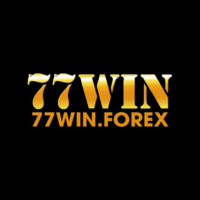 77winforex