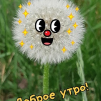 Елена Александровна