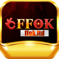 FFOk Ltd