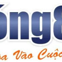 Bong88 Cổng Game Cá Cược