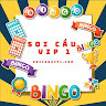 Soi cầu vip 1