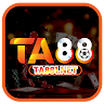 TA881 net