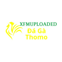 Đá Gà Trực Tiếp Thomo