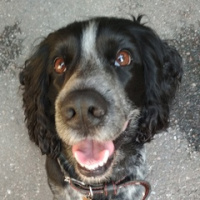 Нина Ставрова