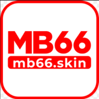 mb66skin
