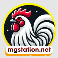 ĐÁ GÀ TRỰC TIẾP