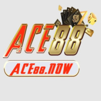 ace88
