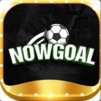 nowgoaluknet