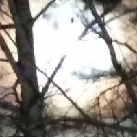 Оксана Яковлева