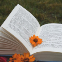 Елена Белая