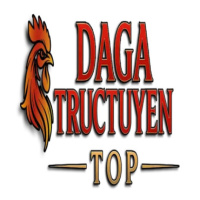 dagatructuyen top