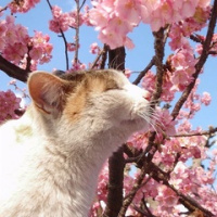 Денис Денисов