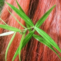 Екатерина Художник