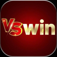 VSWIN