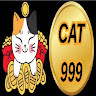 Cat999 dev