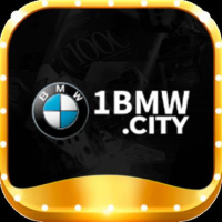 1bmwcity