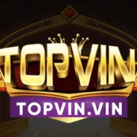 Topvin