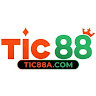 TIC 88